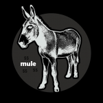 mule's Photo