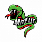 MitFlit's Photo