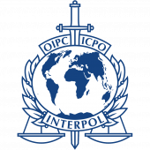 Interpol's Photo